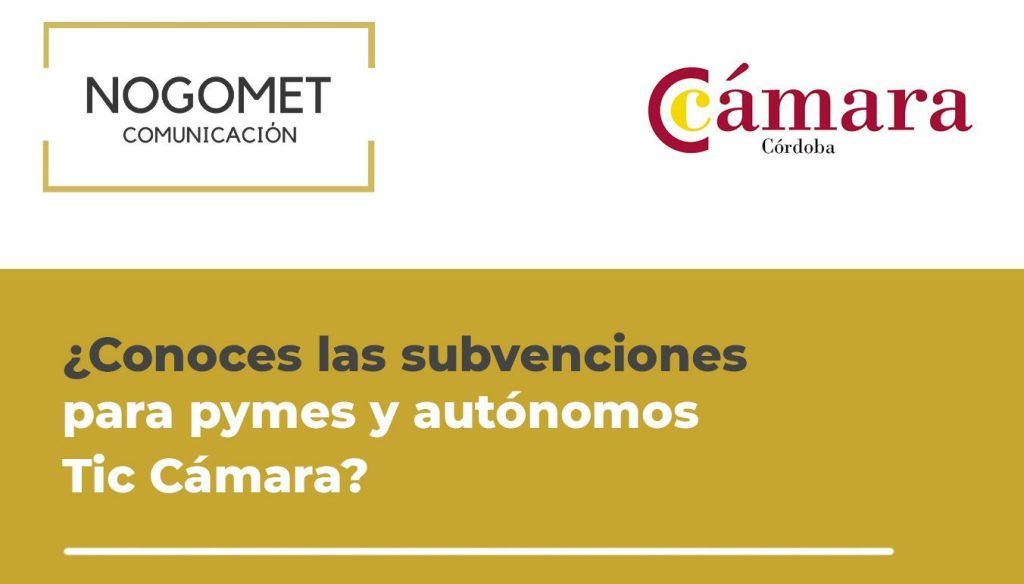 Programa De Ayudas Tic Cámara